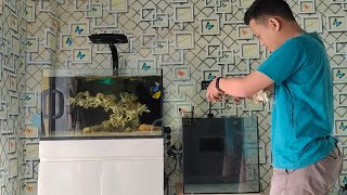 Nano Reef Tank: How I make Floating Reef❗