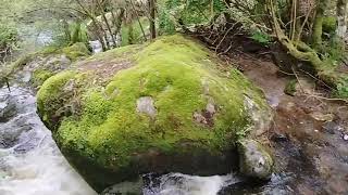 la Margeride et la cascade du Franquet # 70