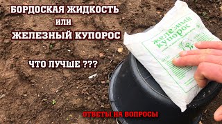 Бордоская жидкость или железный купорос? Что лучше?