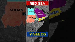 Red Sea: Bordering Countries of Red Sea #upsc #redsea #redseacrisis #upscinfosphere