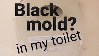 Black ring in toilet. #mold, #toiletrepair, #ring in toilet,