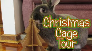 Rabbit Christmas Cage Tour 2015 - 100 Subscriber Q&A