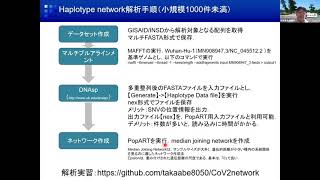 IIBMP2021 セッション2-4 阿部貴志（新潟大）「SARS-CoV-2ゲノムのネットワーク解析」(1)ハプロタイプネットワークの構築（小規模）