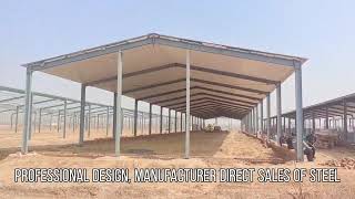 Steel Structure Chicken Poultry House Profession For 3000 5000 10000 Chickens