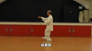 13式太極拳背向慢動作 (2013.08.25) 13 Form Tai Chi Slow moving (Back View)