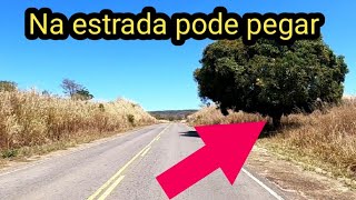 Tá na Estrada??? Pode pegar a vontade (55/22) #paponaestrada