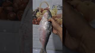 hilsa fish,ilish mach,ilish maach, #shorts #shortvideo #youtubeshorts #trending