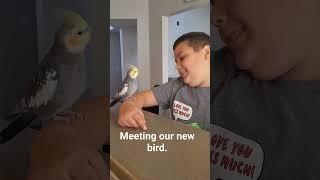 Meeting our sweet new bird.