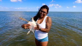 We Caught A Sea Turtle *Unbelievable*