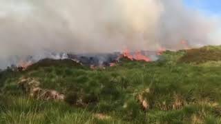 Fire front from Firefighters tackling live on moor