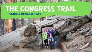 Congress Trail, Sequoia National Park