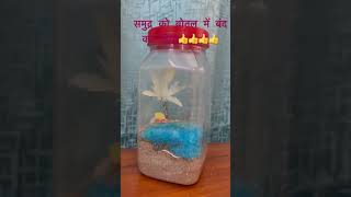 Sand art in a bottle #artwork #sandartistindia #bottleart #bottlecraft