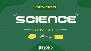 Beyond Science: Cell Biology - Stem Cells