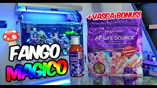 Come usare Aquaforest Life Source + VASCA BONUS!