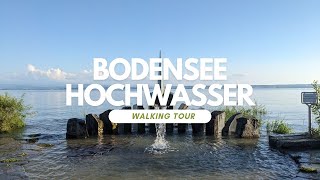 Immenstaad am Bodensee - Hochwasser 4. Juni 2024 (Bodensee-Pegel 4,91m)