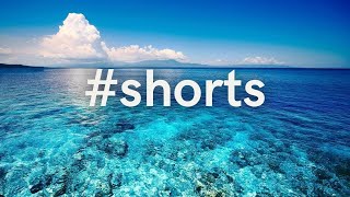 Условия Монетизации. Меня Свели с Ума Перезалитые Ролики #shorts