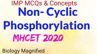 Very IMP Topic Non Cyclic Phosphorylation, Light Dependent Reaction for mhtcet 2020