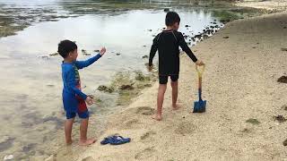 Carrick’s Little Discoveries at Epifania’s Beach Resort, Marabut Samar | Mommyland Journey