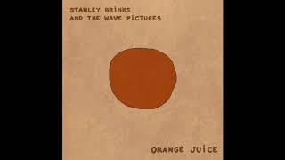 Stanley Brinks and The Wave Pictures - Orange Juice