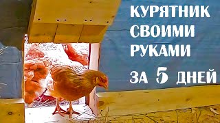 Курятник для несушек своими руками за 5 дней. Теплый недорогой курятник.