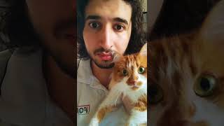 بيبو انصدمت كمان 😂😂 #explore #cat #اكسبلور #طبيب #قطط #ترند #catlover #kitten #funny