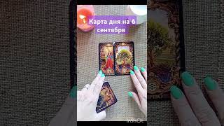 ✨ Карта дня на 6 сентября 🕊️🪷 #гаданиенакартах #таро #ангел #картадня #чтобудет