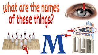 Most amazing things you didn't know the names of some things? | Bobby's World.