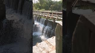 Delaware Canal Spillways, NJ/PA (a7C2 28-200mm) #sonya7cii #photography #tamron28200mm