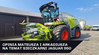 Sieczkarnia CLAAS JAGUAR 950 - Opinia Mateusza i Arkadiusza