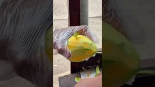 Cutting Fruits #shorts #youtubeshorts #cutting #cuttingfruit #food #manggo