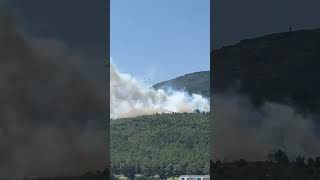 Pendik Aydos Ormanı'nda Korkutan Yangın