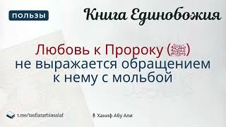 Любовь к Пророку ﷺ не выражается обращением к нему с мольбой | Ханиф Абу Али