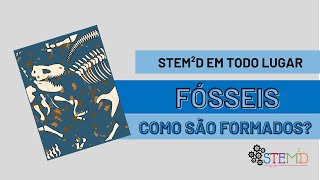 STEM2D EM TODO LUGAR: Como se formam os fósseis?