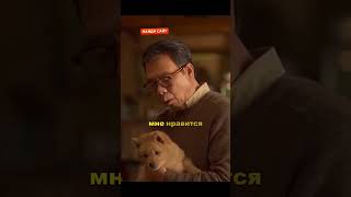 Знакомьтесь Хатико 🥺 #fypシ #top #кино #сериал #фильм #shorts