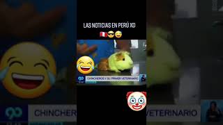 Nadie, las noticias en Perú🤡🤡😂