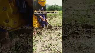 weeding in pearmillts field #music #song #bollywood #hindisong #bollywoodsongs #tranding #letest