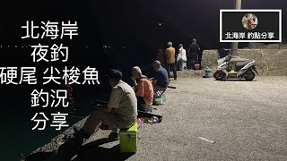 [北海岸釣點分享] 8/19 北海岸  夜釣 硬尾 竹莢魚 尖梭魚 釣況分享   三芝石門金山 在地人的釣魚秘境！！ 記得 訂閱 才能收到第一手釣況資訊 謝謝！！