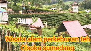 Wisata alam perkebunan teh cisoka sumedang