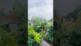 Rain ☔️ Short Video #trending #trending #subscribe #shortsvideo #love #shorts #short #shortvideo