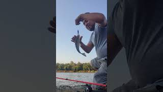 TUTORIAL EN ESPAÑOL  como invertir tu tiempo libre buen día de pesca 🙂l💪