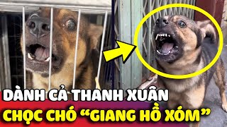 Dành cả thanh xuân để đi trêu 'ĐỐI THỦ TRUYỀN KIẾP', nam thanh niên nhận CÁI KẾT nhớ đời 😅 | Gâu Đần