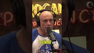 JOE ROGAN CALLS OUT BIDEN'S LEADERSHIP! 🧐🔥 #jre #shorts