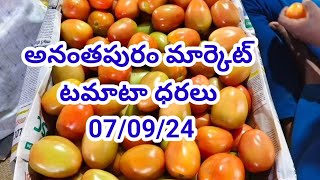 7 September 2024|| today Tomato rate in Ananthapuram market | Ananthapuram market tomato rate today