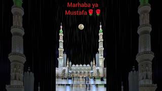 #Shorts#shorts feed#viral video #naat status#Mustafa❤️🌹🌹❤️