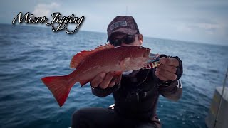 MICRO JIGGING