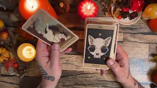 Walkthrough and mini review of #catsruletheearthtarot