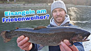 EISANGELN AM FRIESENWEIHER?