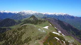 borjomi-kharagauli national park/Lomismta 2200m