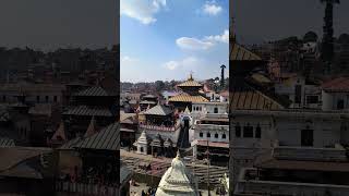 Normal day in Pashupatinath Temple #nepal #shiv #om #hindu ghaam taapira haami 😅