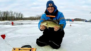 Ice Fishing for Bass & Pike (Mississippi River Backwaters) 12/26/20